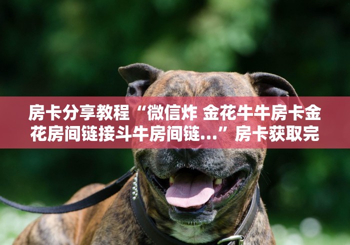 房卡必备教程“微信炸 金花链接怎么搞”详细房卡使用教程