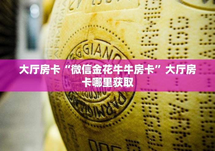 玩家必备教程“微信炸 金花链接房卡哪里买”房卡详细充值