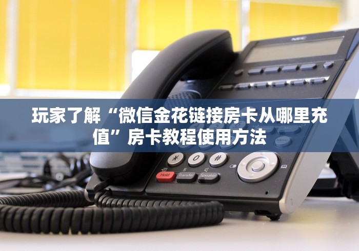房卡全攻略“微信炸 金花链接房卡购买”获取房卡教程-哔哩哔哩