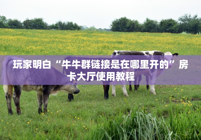 一分钟了解“微信链接斗牛房卡怎么买”获取房卡教程-哔哩哔哩