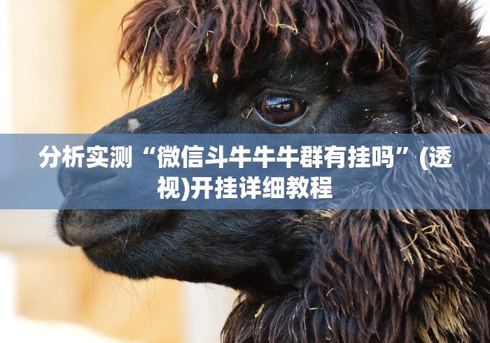 一分钟了解“微信炸 金花怎么卖房卡”房卡使用教程