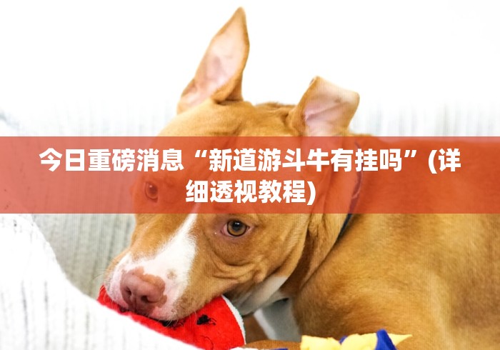 秒懂教程“微信斗牛房卡找谁买”详细房卡使用教程