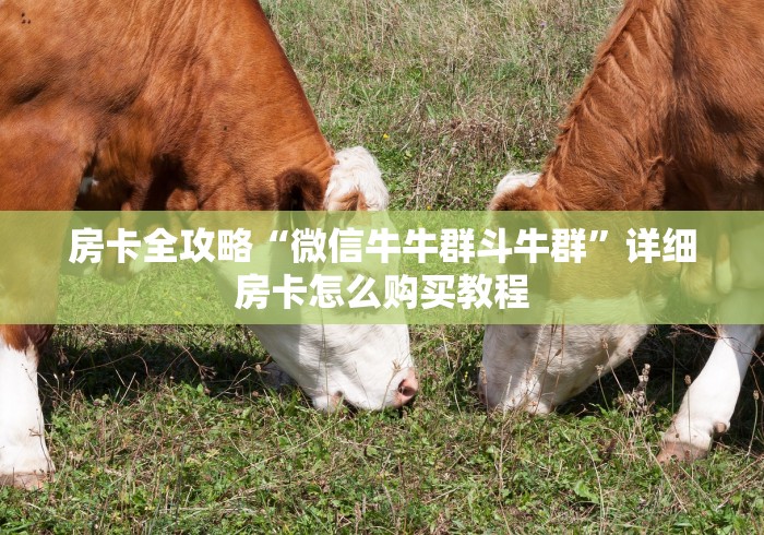 房卡全攻略“微信牛牛群斗牛群”详细房卡怎么购买教程