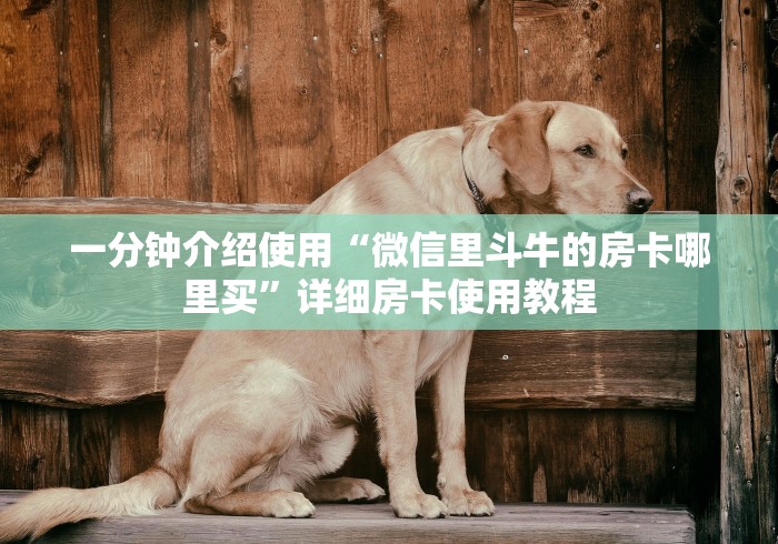 一分钟介绍使用“微信里斗牛的房卡哪里买”详细房卡使用教程