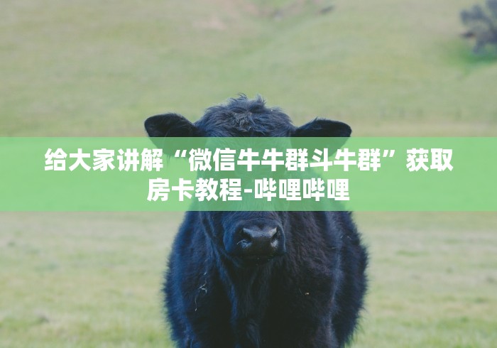 给大家讲解“微信牛牛群斗牛群”获取房卡教程-哔哩哔哩
