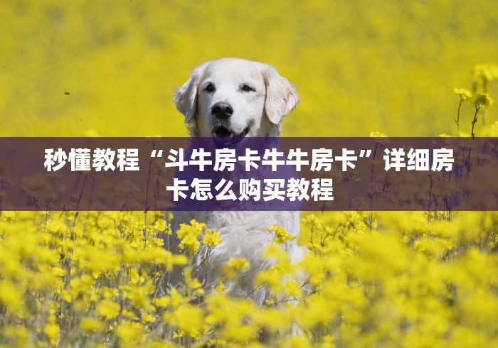 秒懂教程“斗牛房卡牛牛房卡”详细房卡怎么购买教程