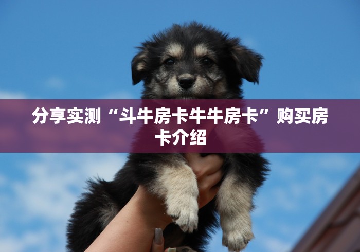 分享实测“斗牛房卡牛牛房卡”购买房卡介绍