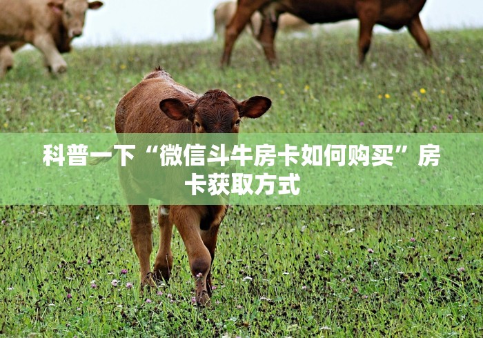 科普一下“微信斗牛房卡如何购买”房卡获取方式