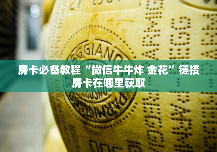 房卡必备教程“微信牛牛炸 金花”链接房卡在哪里获取 房卡必备教程“微信牛牛炸 金花”链接房卡在哪里获取