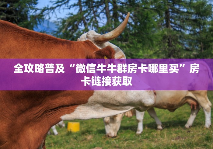 全攻略普及“微信牛牛群房卡哪里买”房卡链接获取