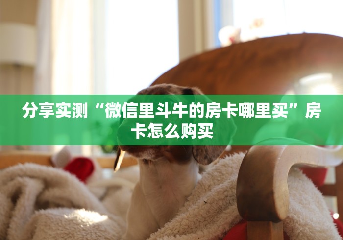分享实测“微信里斗牛的房卡哪里买”房卡怎么购买