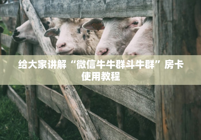给大家讲解“微信牛牛群斗牛群”房卡使用教程